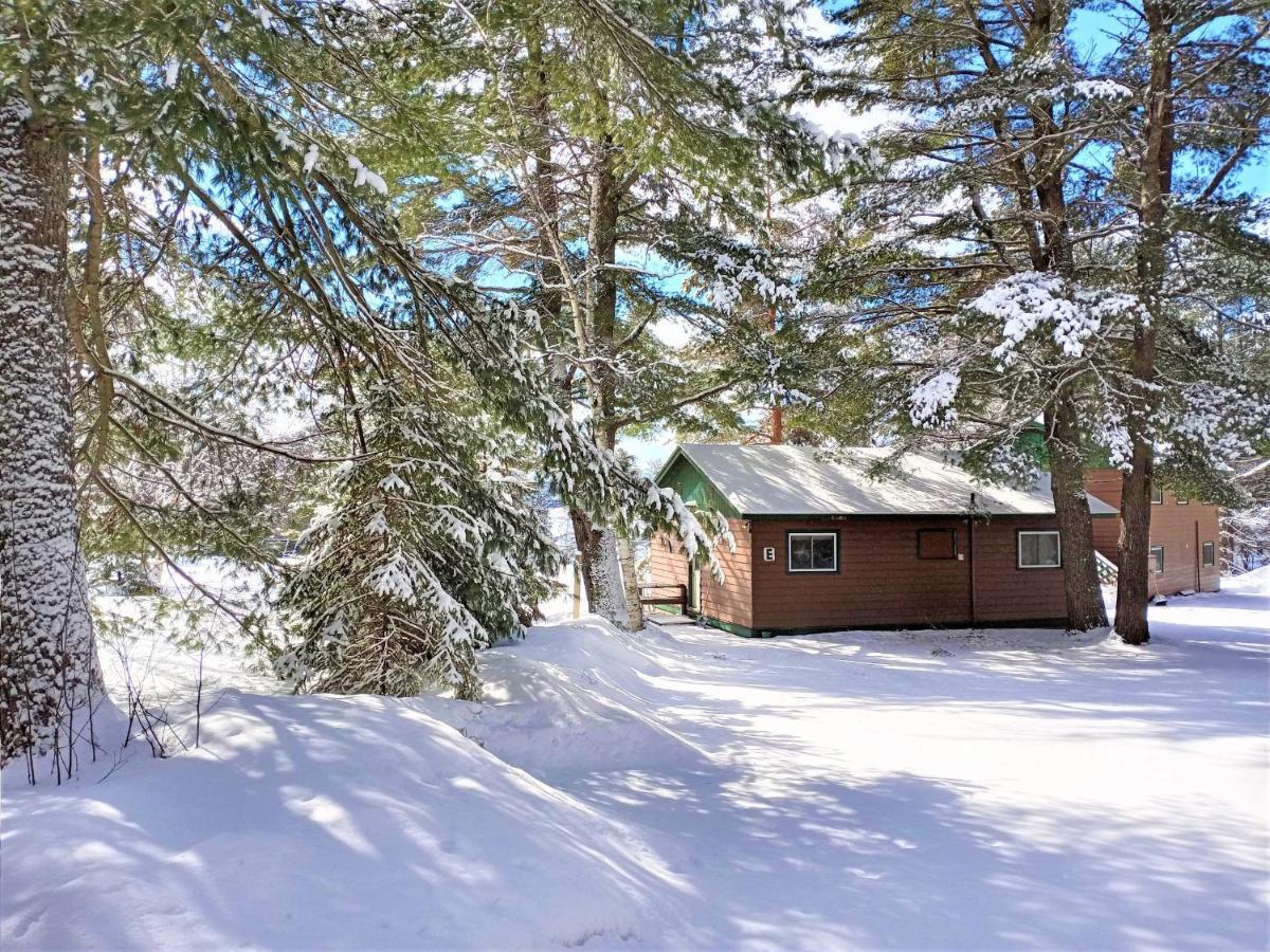 Logging Chain Lodge Cottage Resort Dwight Exterior photo